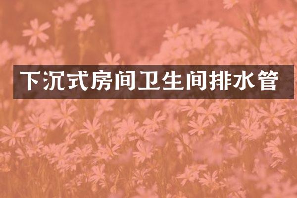 下沉式房间卫生间排水管