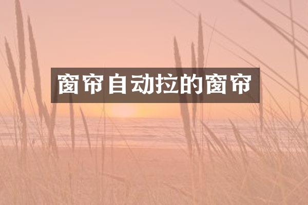 窗帘自动拉的窗帘
