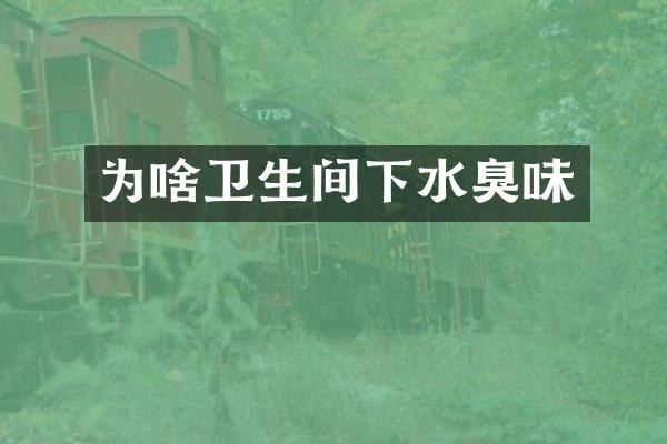 为啥卫生间下水臭味