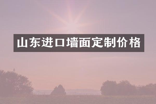 山东进口墙面定制价格