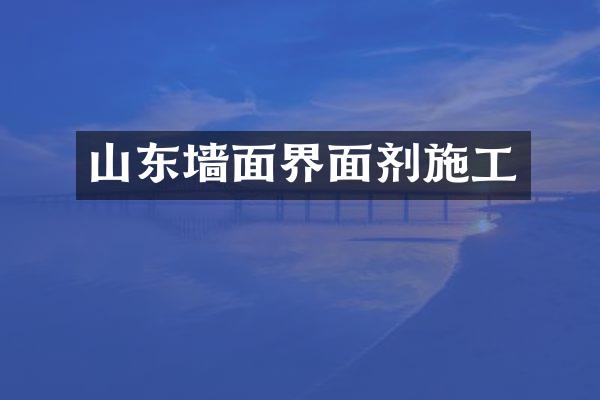 山东墙面界面剂施工