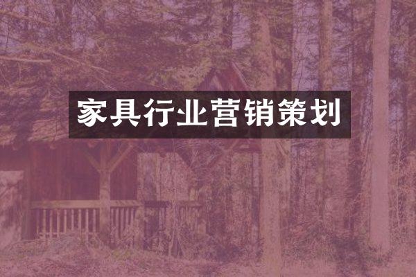 家具行业营销策划