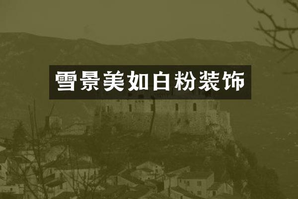 雪景美如白粉装饰