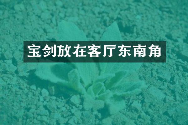 宝剑放在客厅东南角