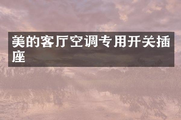 美的客厅空调专用开关插座