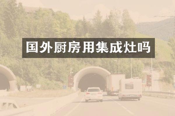 国外厨房用集成灶吗
