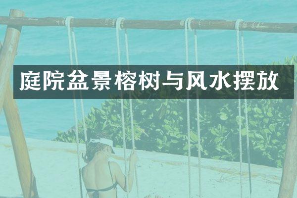 庭院盆景榕树与风水摆放