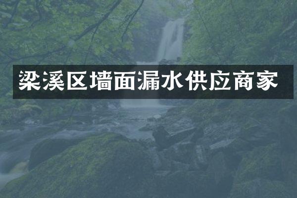 梁溪区墙面漏水供应商家