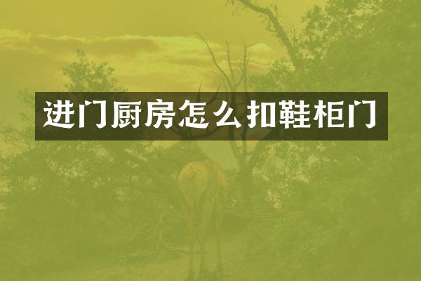 进门厨房怎么扣鞋柜门