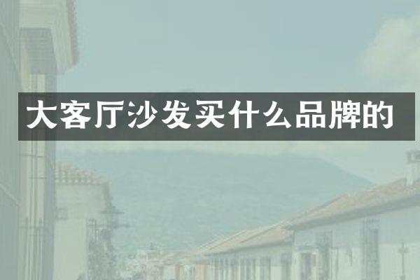 大客厅沙发买什么品牌的