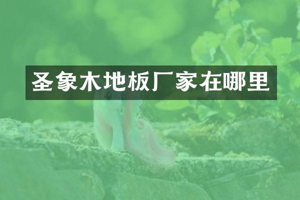 圣象木地板厂家在哪里
