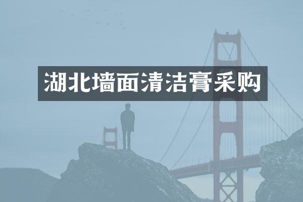 湖北墙面清洁膏采购