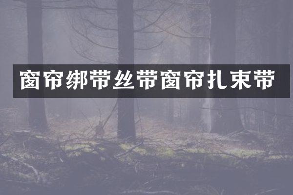 窗帘绑带丝带窗帘扎束带