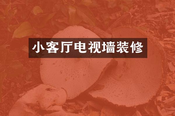 小客厅电视墙装修