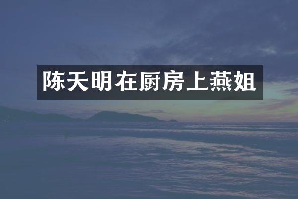 陈天明在厨房上燕姐