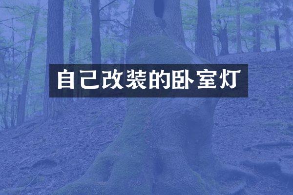 自己改装的卧室灯