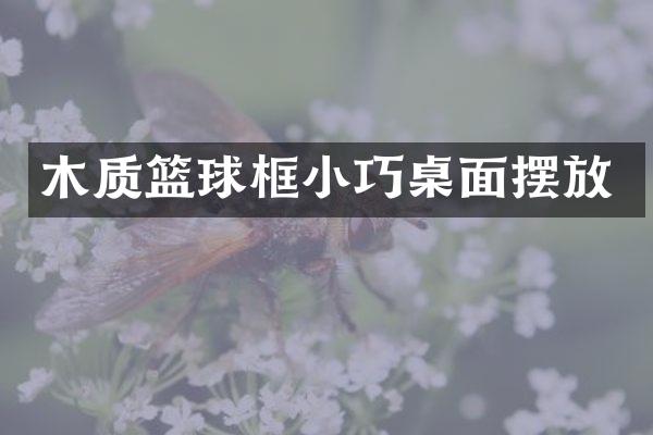 木质篮球框小巧桌面摆放