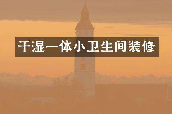 干湿一体小卫生间装修