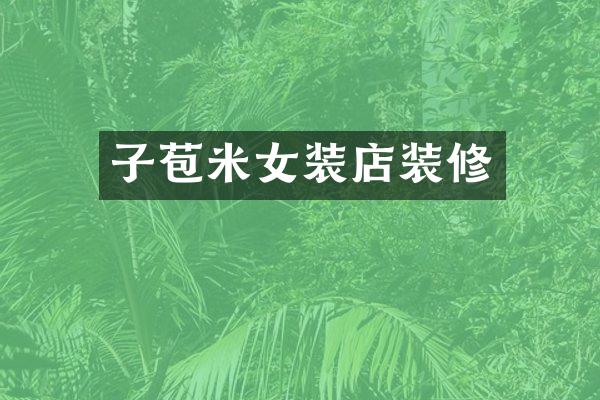 子苞米女装店装修