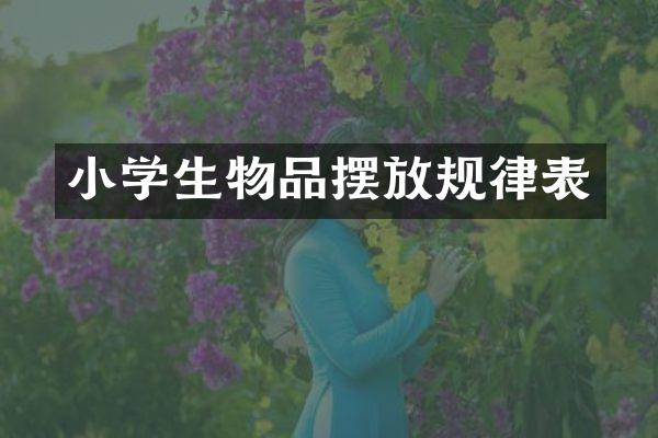 小学生物品摆放规律表