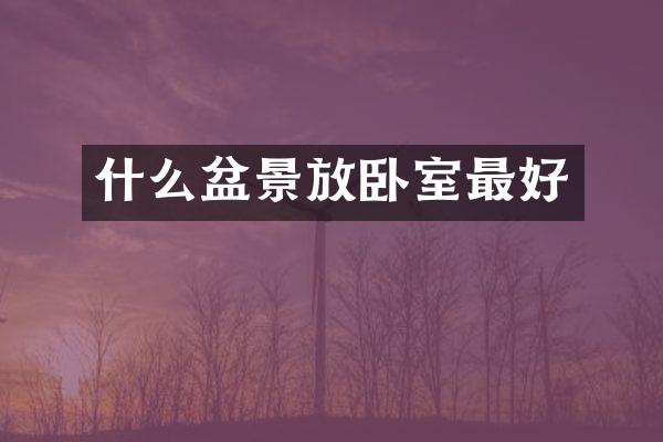 什么盆景放卧室最好