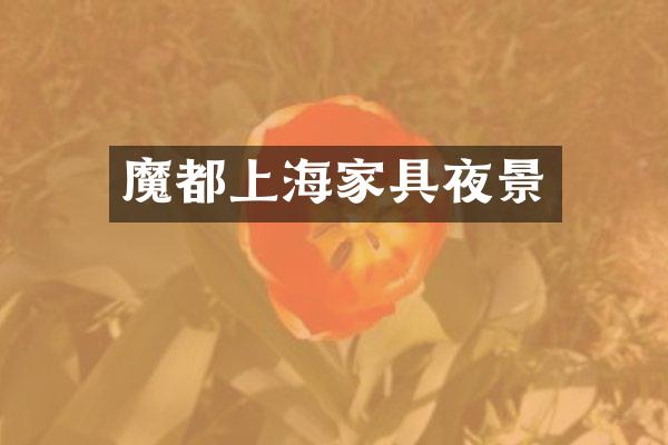 魔都上海家具夜景