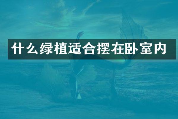 什么绿植适合摆在卧室内