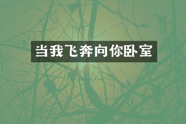 当我飞奔向你卧室
