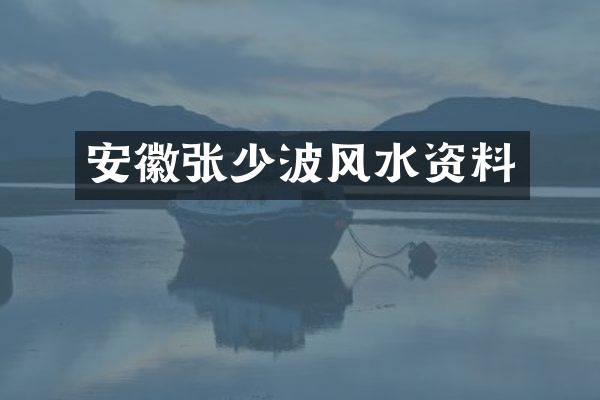 安徽张少波风水资料