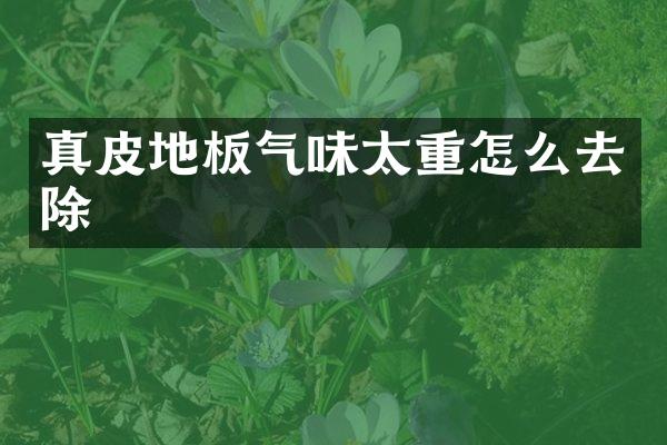 真皮地板气味太重怎么去除