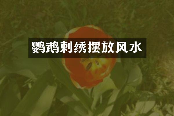 鹦鹉刺绣摆放风水