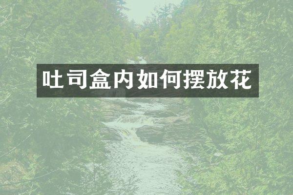吐司盒内如何摆放花