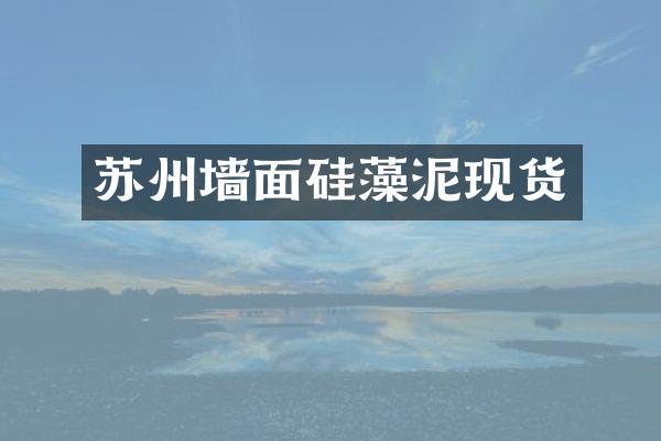 苏州墙面硅藻泥现货