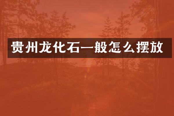 贵州龙化石一般怎么摆放