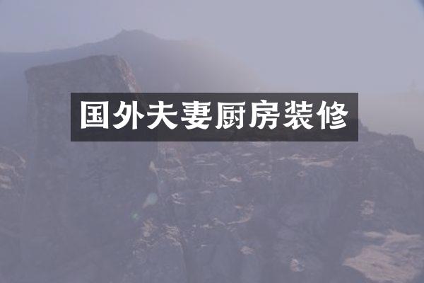国外夫妻厨房装修