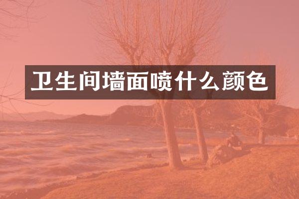 卫生间墙面喷什么颜色