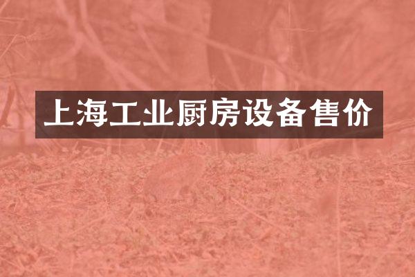 上海工业厨房设备售价