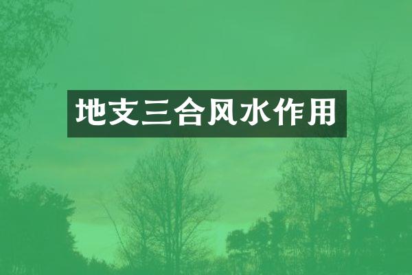 地支三合风水作用