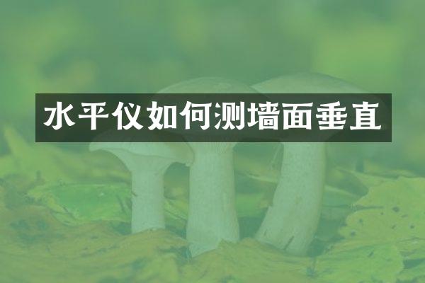 水平仪如何测墙面垂直