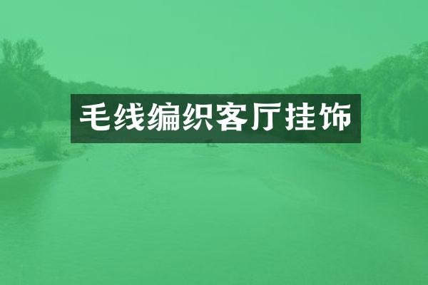 毛线编织客厅挂饰