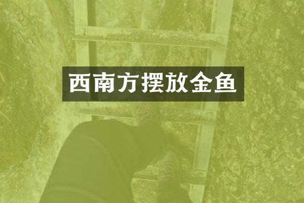 西南方摆放金鱼
