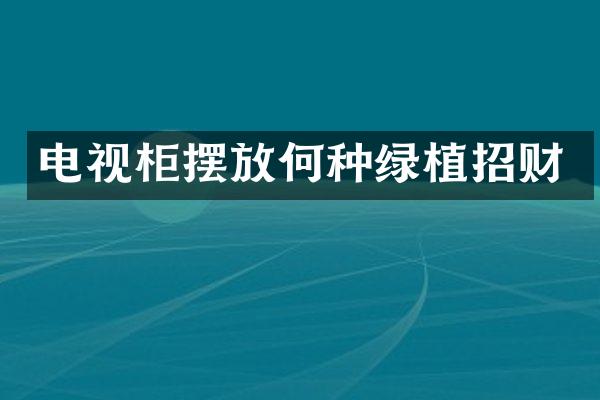 电视柜摆放何种绿植招财