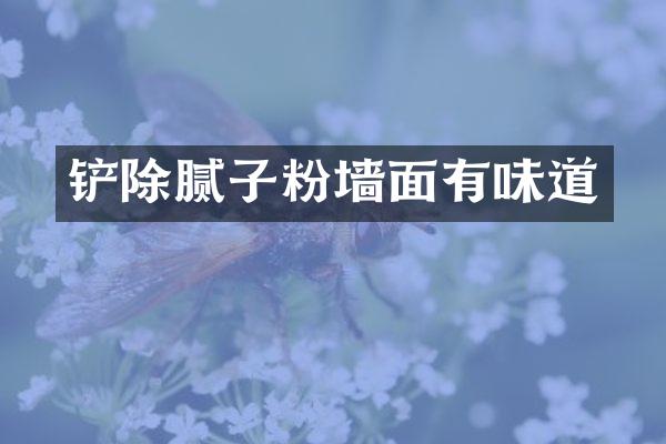 铲除腻子粉墙面有味道