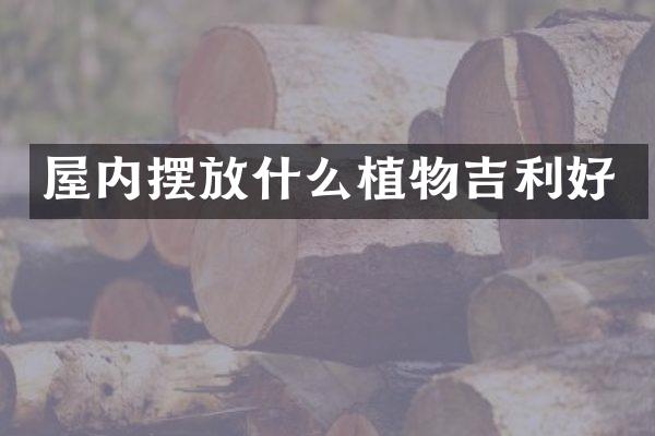 屋内摆放什么植物吉利好
