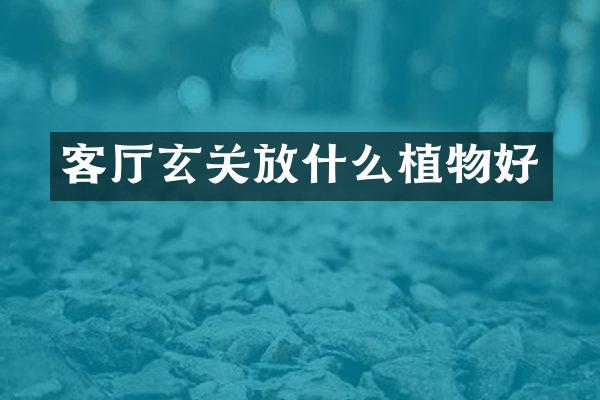 客厅玄关放什么植物好