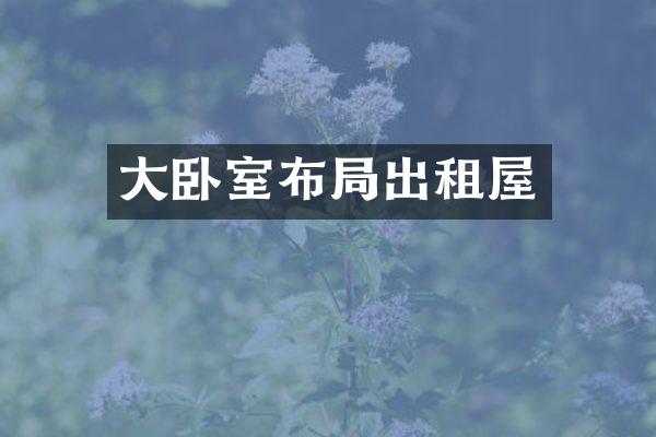 大卧室布局出租屋