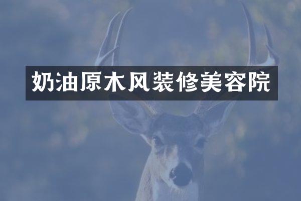 奶油原木风装修美容院