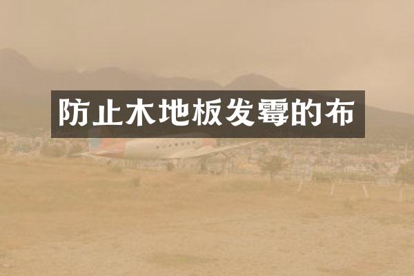 防止木地板发霉的布