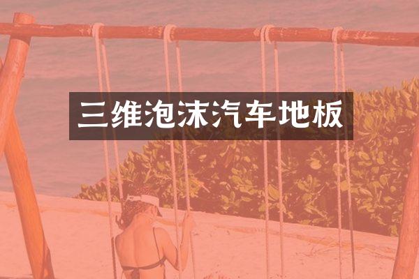 三维泡沫汽车地板