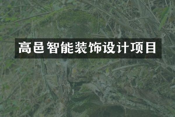 高邑智能装饰设计项目